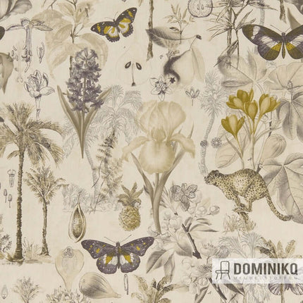 Collection image for: Jungle