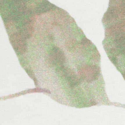 Springbloom gordijnstof van Kendix met natuurlijke en kunstzinnige motieven, verfijnde takken en multicolour-accent.