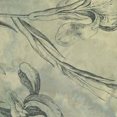 De Ploeg - Kendix - Tempesta - 08