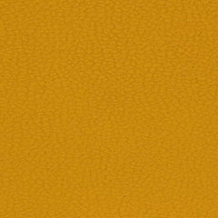 Aristide - Miles - 320 Corn