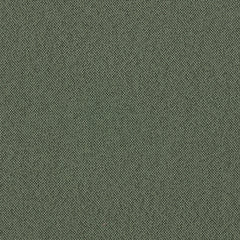 Maharam - Meld - 466387.032 Vine