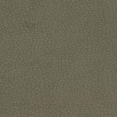 Aristide - Miles - 765 Olive