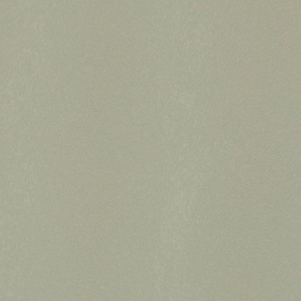 Mystique kunstleer van Agua Fabrics met subtiele structuur, hoge slijtvastheid. Vanaf 5 meter 10% korting. Stijlvol en duurzaam.