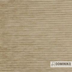 Aristide - Luthor - 215 Champagne