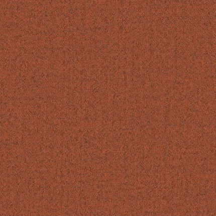Camira - Blazer Lite - LTH1A Compassion
