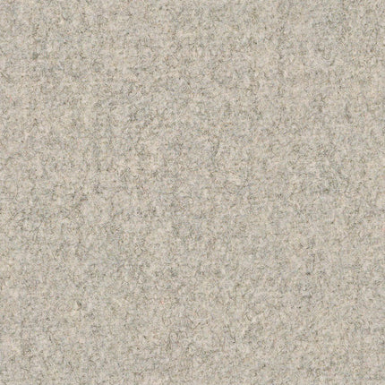 Camira - Blazer Lite - LTH1R Courtesy