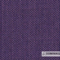 Camira - Penta - PEN25 - Iris