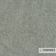 Fabraa - Cyber - 196 - Shell