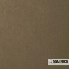 Fabraa - Earth - 124 - Shitake