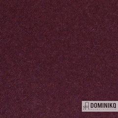 Fabraa - Facet - 78 - Purple