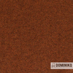 Fabraa - Facet - 31 - Terra