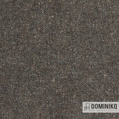 Fabraa - Forward - 17 - Chocolate