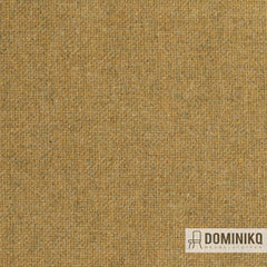 Fabraa - Forward - 06 - Mustard