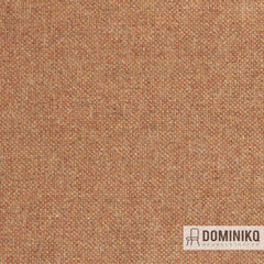 Fabraa - Forward - 29 - Rust