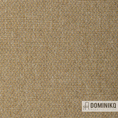 Fabraa - Orion - 06 - Mustard