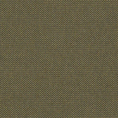 De Ploeg - Kendix - Pavone - 06