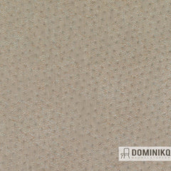 Kvadrat - Febrik - Rumor - 0221