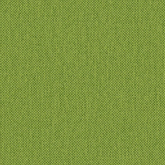 Maharam - Mode - 466337.041 Sassafras
