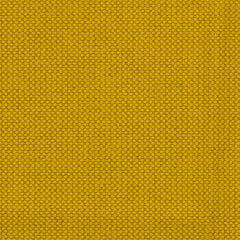 Maharam - Merit - 466444.025 Sunflower