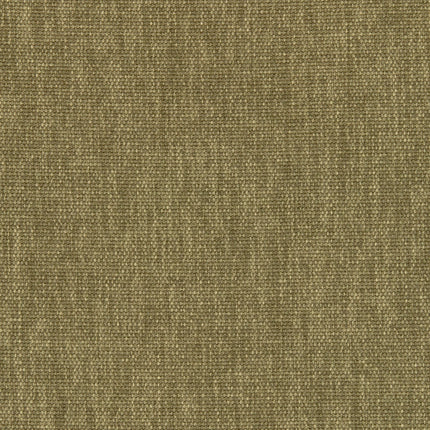Maharam - Metaphor - 466553.026 Saguaro