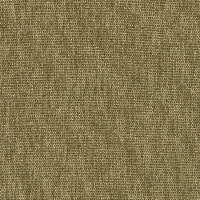 Maharam - Metaphor - 466553.026 Saguaro