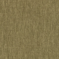 Maharam - Metaphor - 466553.026 Saguaro
