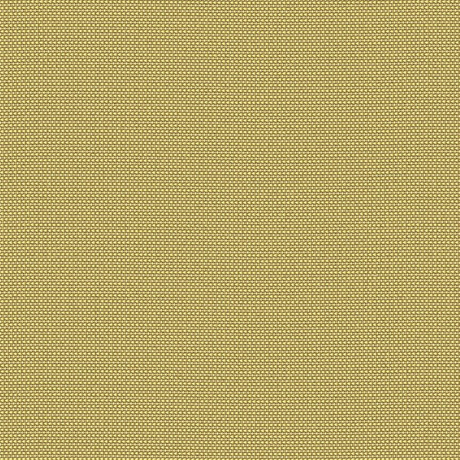 Maharam - Motto - 466658.009 Citrine