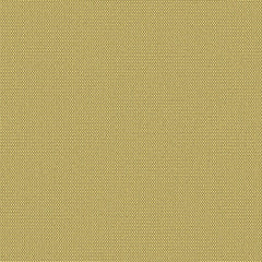 Maharam - Motto - 466658.009 Citrine