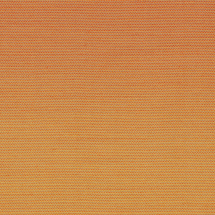 Rohi - Chameleon - 01455.11 Mango