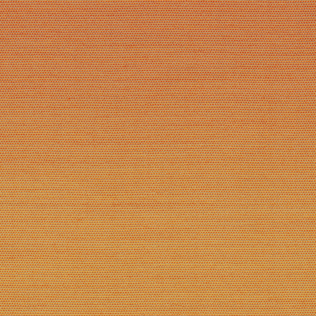 Rohi - Chameleon - 01455.11 Mango