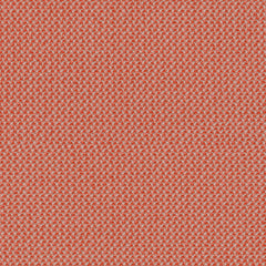 Rohi - Credo - 01727.85 Grapefruit