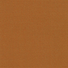Rohi - Novum  - 01700.22 Terra