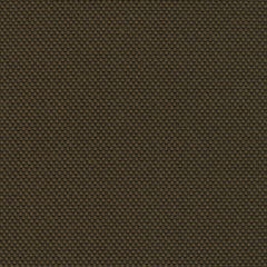 Rohi - Novum  - 01700.42 Seed