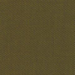 Rohi - Novum  - 01700.43 Pinie