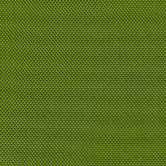 Rohi - Novum  - 01700.45 Moss