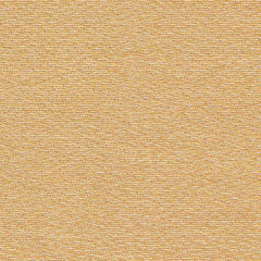 Rohi - Shake - 01850.48 Sol