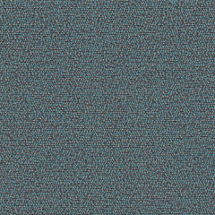Rohi - Shake - 01850.56 Ray