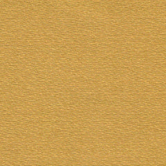 Rohi - Shake - 01850.63 Kurkuma