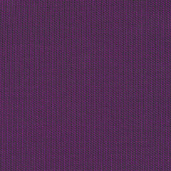 Rohi - Topia - 01735.24 Viola