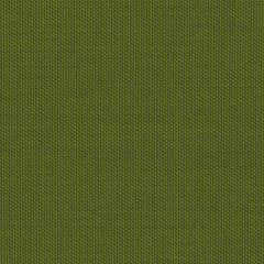 Rohi - Topia - 01735.33 Palm