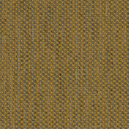 Agua - Dales - Lichen