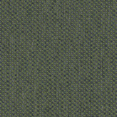 Agua - Dales - Seagrass