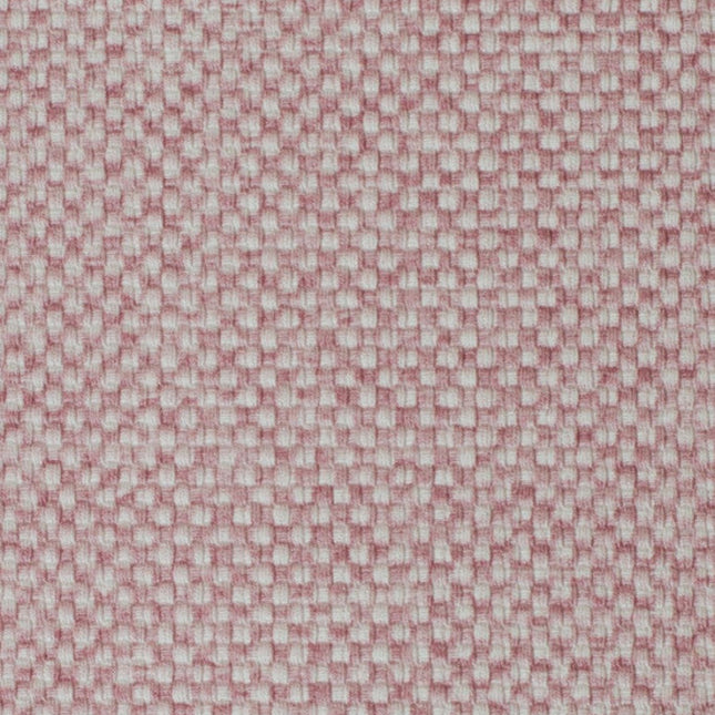 Vyva Fabrics - Globe - 14203 Blossom