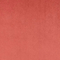 Aristide - Apollo - 440 Brick