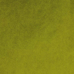 Aristide - Apollo - 720 Endive