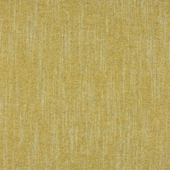 Aristide - Daily - 320 Corn