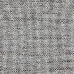 Aristide - David - 256 Mushroom