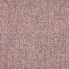 Aristide - David - 585 Violet