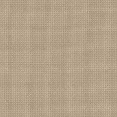 Gabriel - Fame - 61332