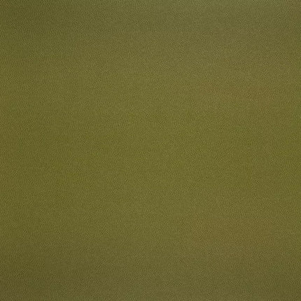 Aristide Galucha eco-leer in lime groen, geïnspireerd door Jean-Claude Galluchat, zonder dierlijke weefsels.